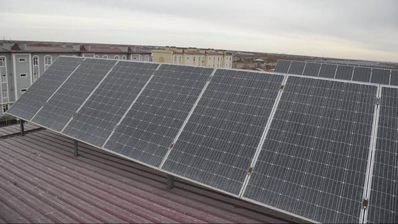 Ситуативное фото / Yuz.uz