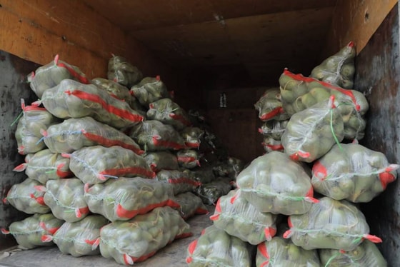 Фото: Таможенный комитет