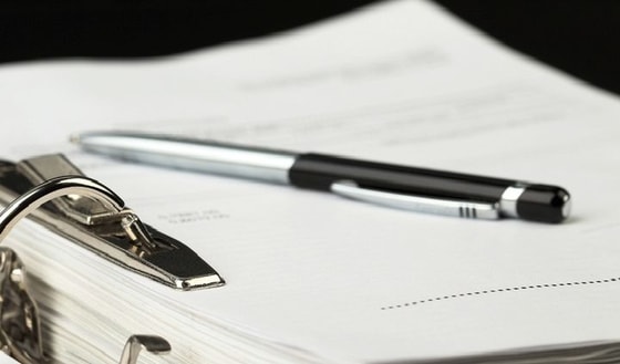 Фото: открытые источники