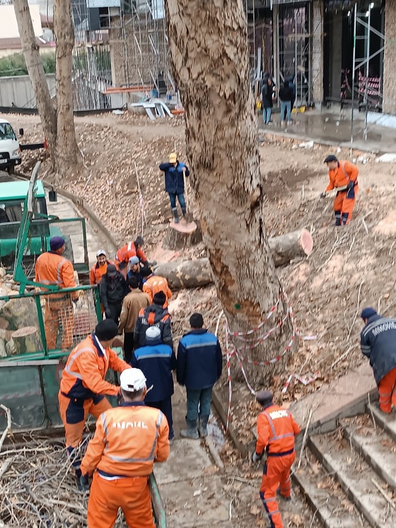 Фото: facebook.com/magic.uz