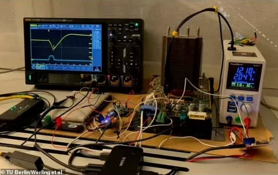 Фото: Berlin Werling et al