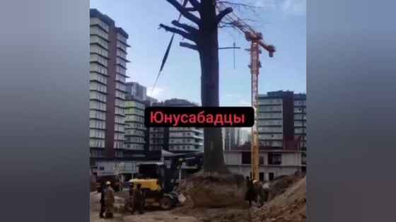 Кадр из видео