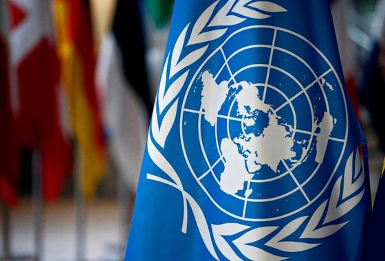 Фото: Открытые источники