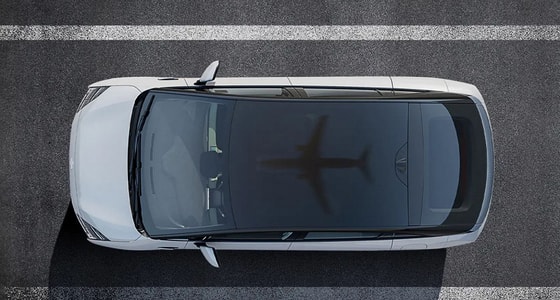 Фото:&nbsp;JuneYao