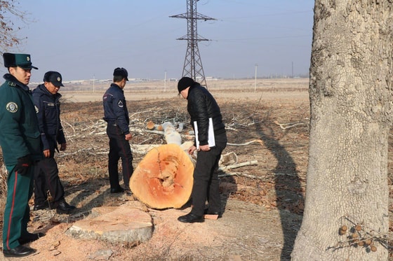 Фото: Управление экологии Андижанской области