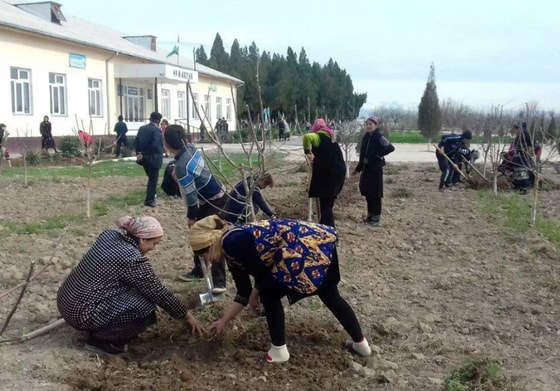 Фото: Открытые источники