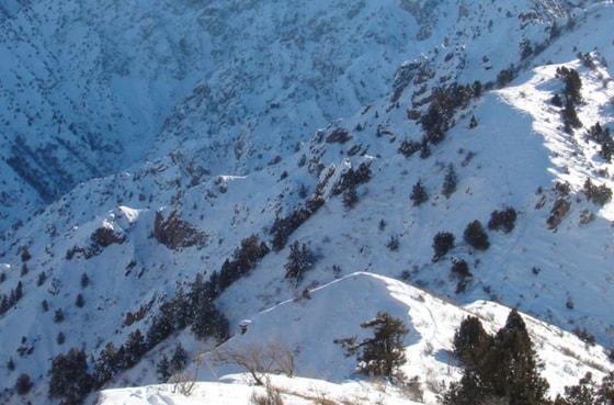 Фото: Википедия