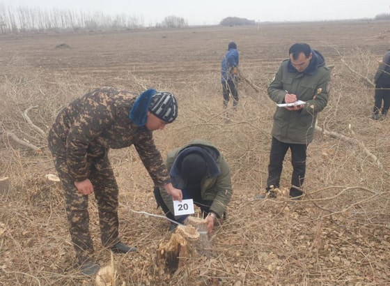 Фото: Управление экологии Хорезмской области