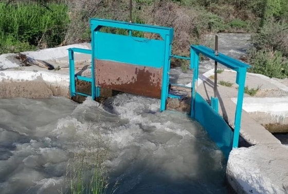 Фото: Открытые источники