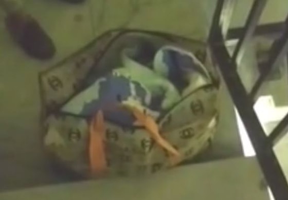 Кадр из видео