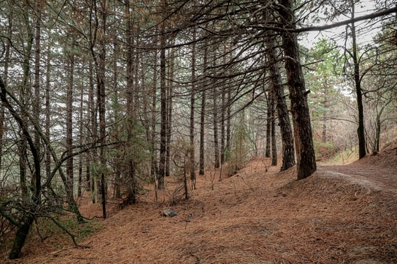 Фото: Uzbekistan Travel