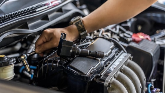 Фото: Открытые источники