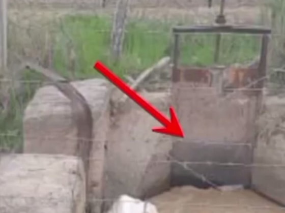 Кадр из видео