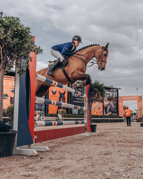 Фото: Федерация коневодства и конного спорта