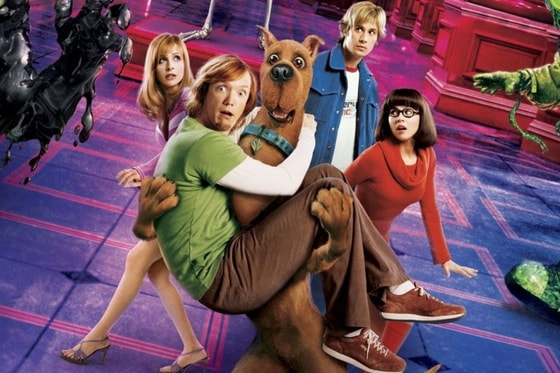 Фото: Чемпионат&nbsp;