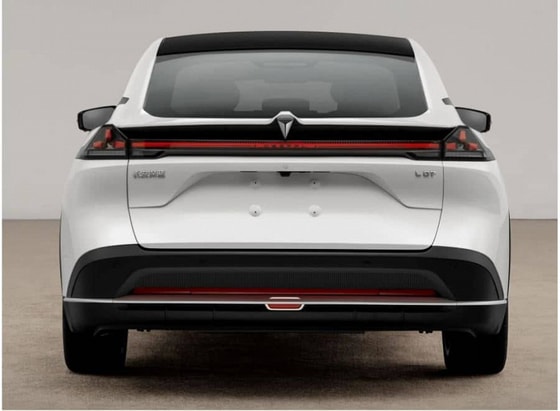 Фото: carnewschina