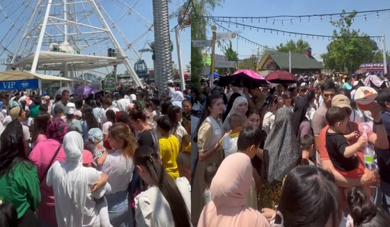 Кадры из видео