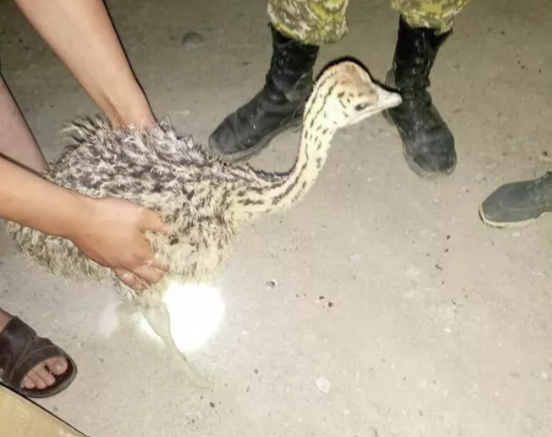 Фото: Sputnik Кыргызстан