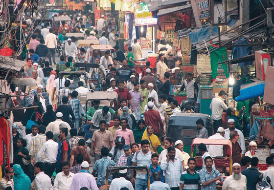 Фото: Shutterstock