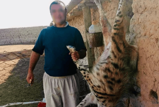 Фото: Минэкологии