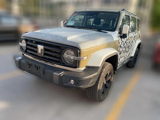 Фото:&nbsp;Carnewschina