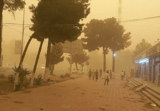 Фото: t.me/uzb_meteo