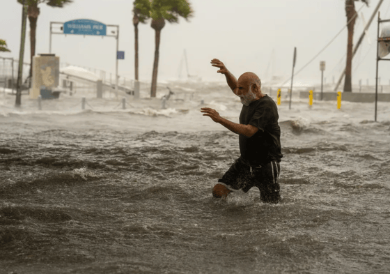 Фото: Global News