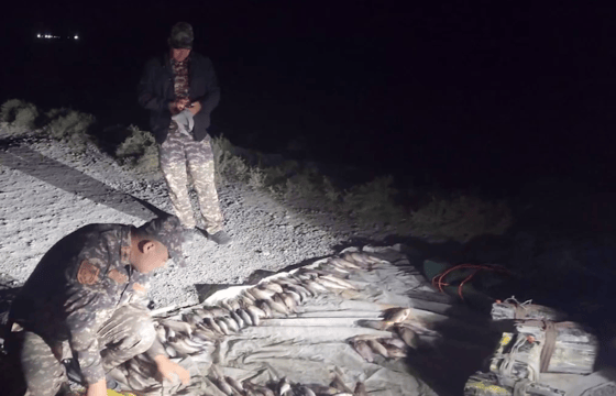 Кадр из видео