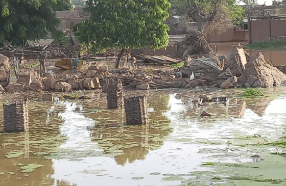 Кадр из видео