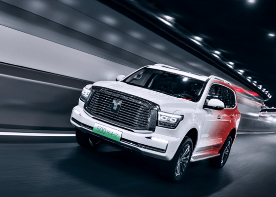 Фото: Great Wall