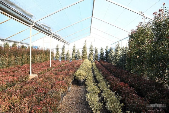 Фото: Пресс-служба президента