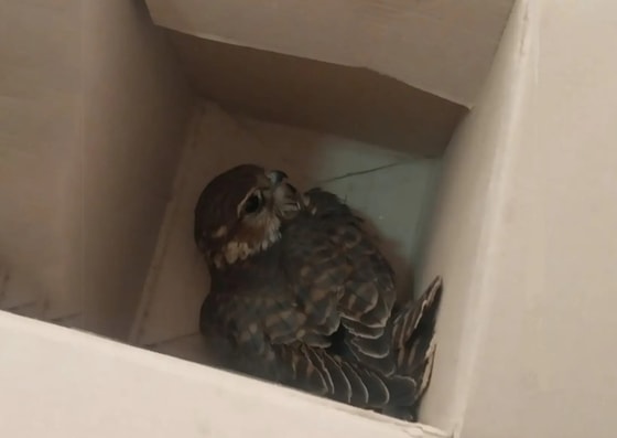 Фото: Минэкологии