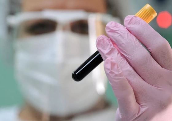 Фото: РИА Новости