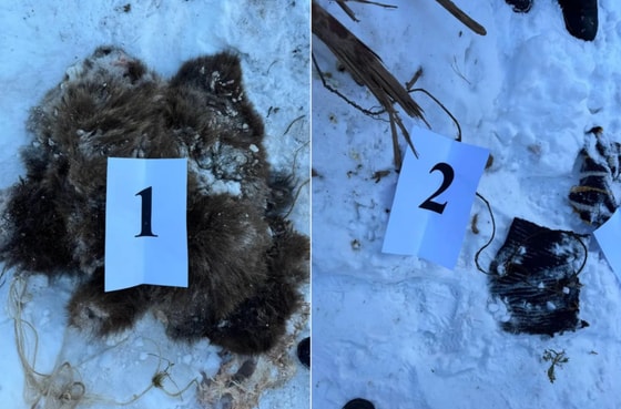 Фото: Минэкологии