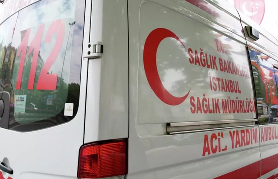 Фото:&nbsp;Victoria Viatris