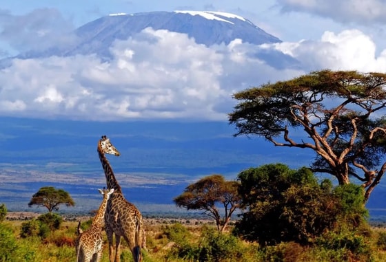 Фото: Открытые источники