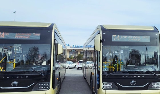 Фото:&nbsp;t.me/samtashishmonitorinDM