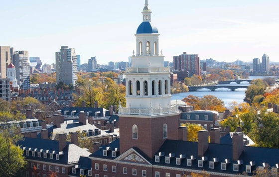 Фото:&nbsp;harvard.edu