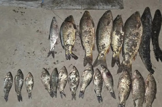 Фото: Минэкологии