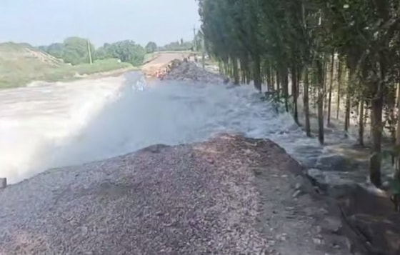 Кадр из видео