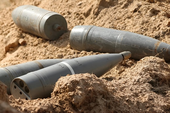 Фото: Shutterstock