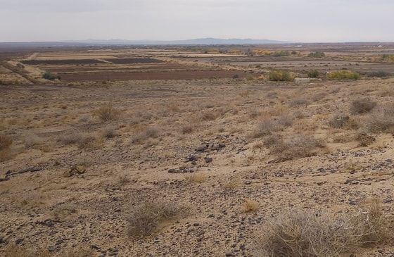 Фото: Яндекс