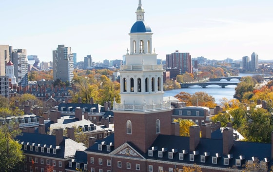 Фото:&nbsp;harvard.edu