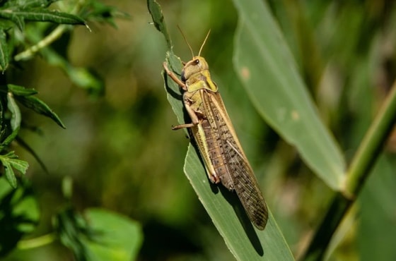 Фото: Открытые источники