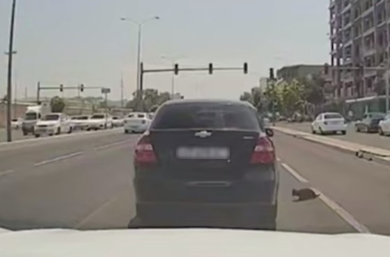 Кадр из видео