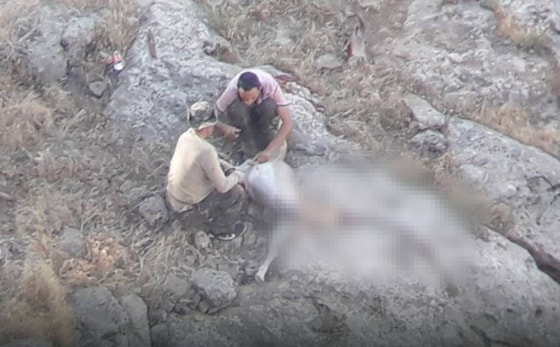 Фото: Минэкологии