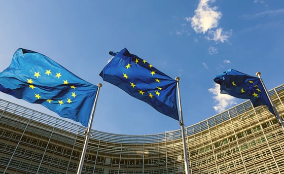 Фото:&nbsp;transparencycdn.org