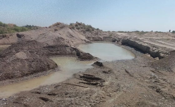 Фото: Минэкологии