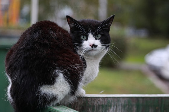 Фото:&nbsp;Global Look Press