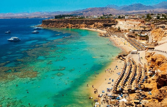 Фото: Shutterstock